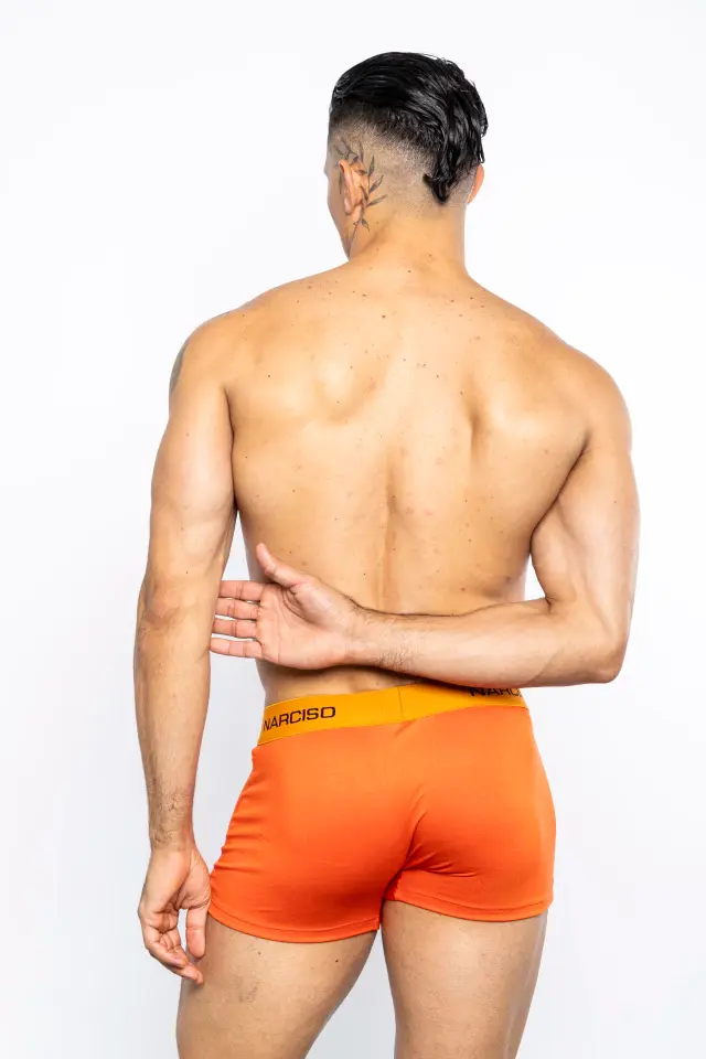 Miniboxer JAMES MISCHELL.webp