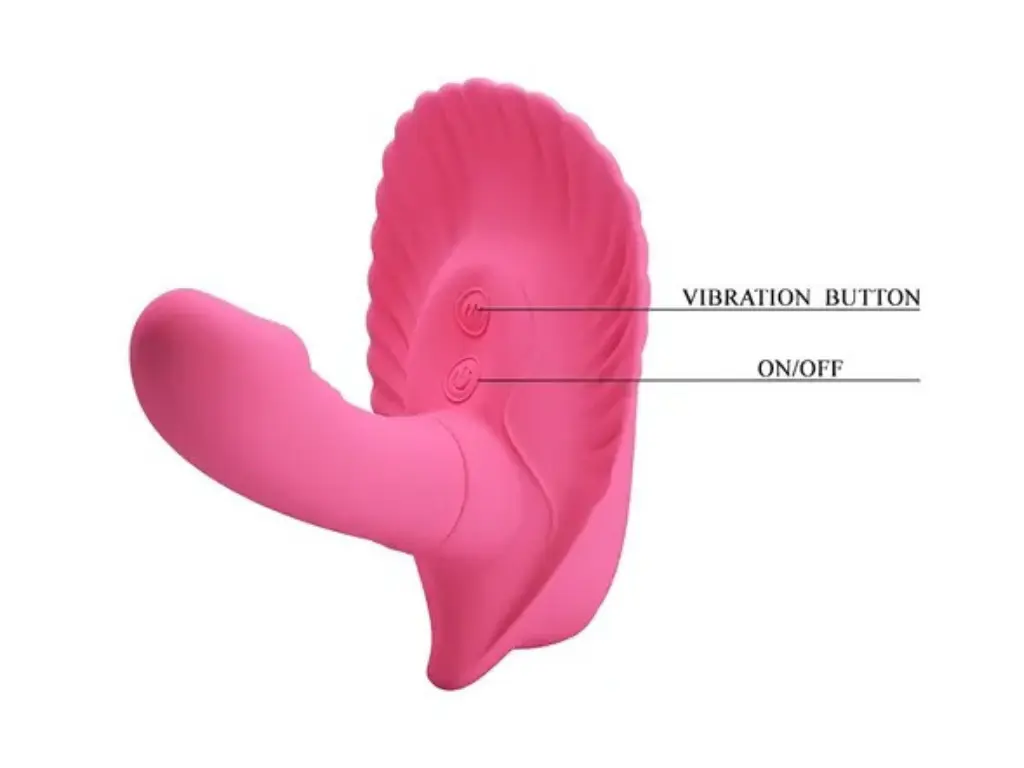 FANCY CLAMSHELL - 10 Vibrations (1).webp