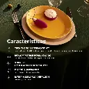 IMAGE_4_LYLA 2_12.webp