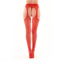 Panty Portaligas Lisa