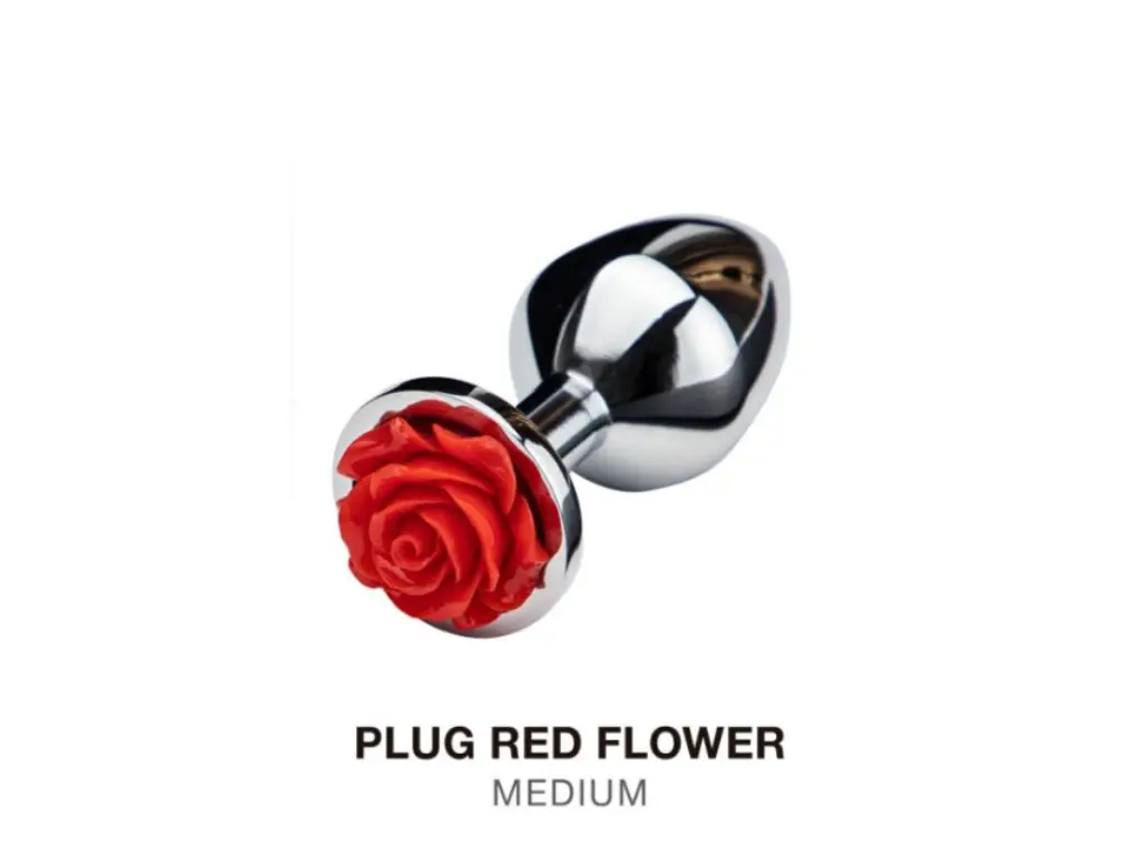 Plug Anal M Con Rosa