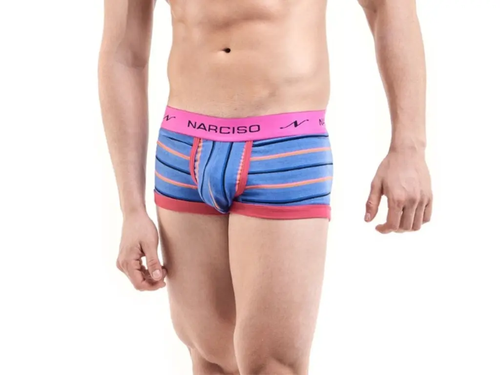 [NC303TMVIO] Miniboxer CALVIN RAYADOS (TM)