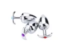 Plug Anal 2 Ancla Removible - L