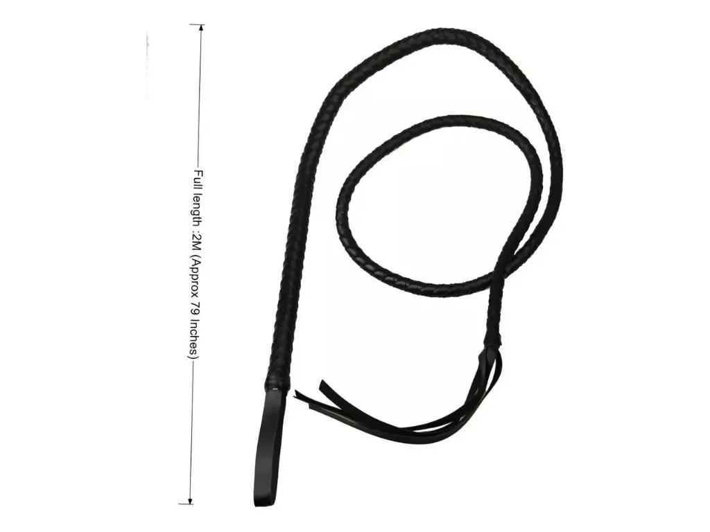 [PB-012] Latigo Negro Trenzado 2M