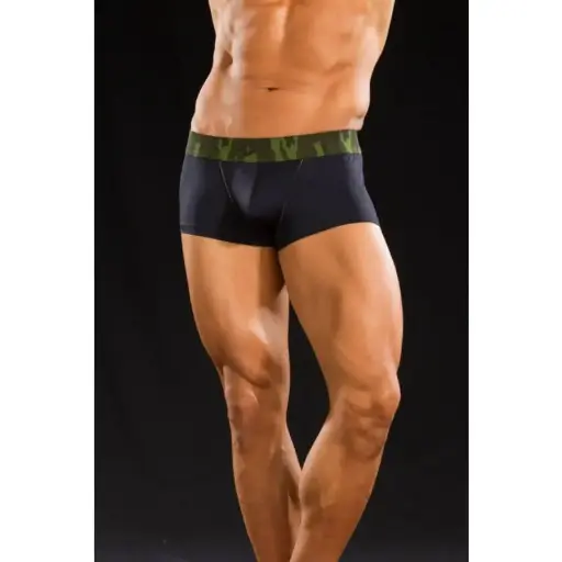 Miniboxer JAMES WARRIOR