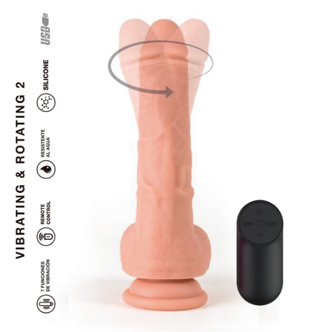 [ST-19003-8-1] Vibrating y Rotationg 2