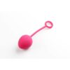 NOVA Svakom - Kegell Ball - Imagen 2